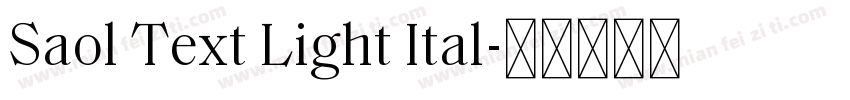 Saol Text Light Ital字体转换